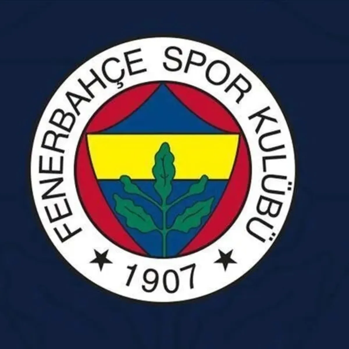 UEFA'dan Fenerbahçe'ye Lyon Maçı Sonrası Soruşturma