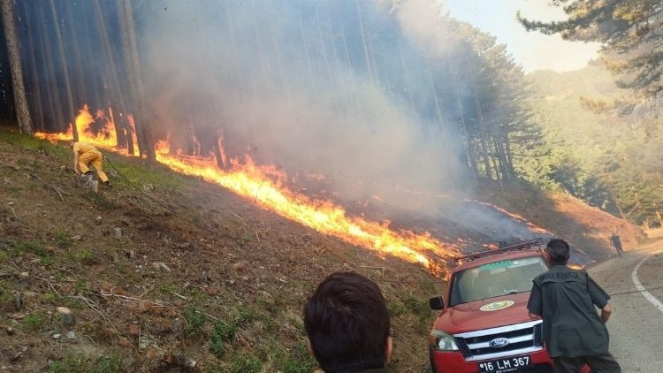 Uludağ'da Yol Kenarında Çıkan Yangın Kontrol Altına Alındı