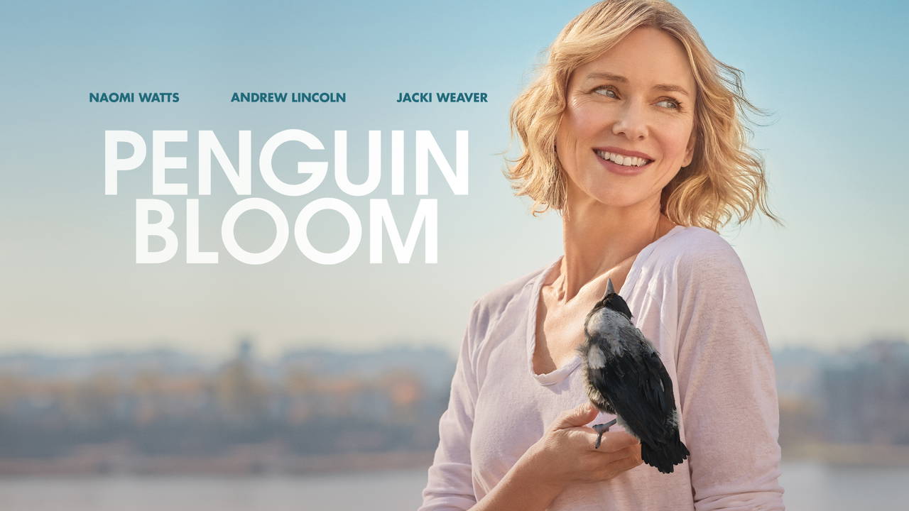 Umut Kuşu Filmi Konusu ve Oyuncuları: Penguin Bloom Hakkında Her Şey