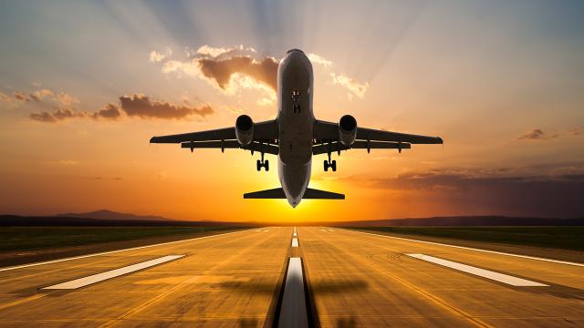 United Airlines uçağı olası güvenlik tehdidiyle ABD'ye geri döndü