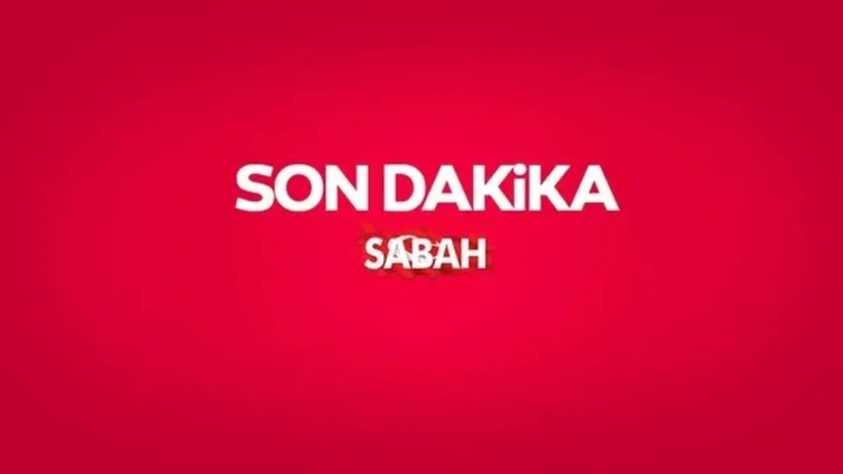 Usulsüz Vatandaşlık Operasyonunda 72 Gözaltı