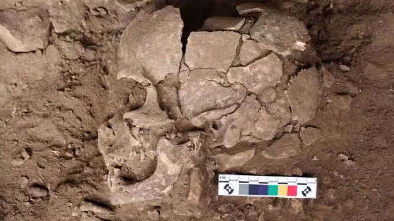 Uyarıcı Madde Kullanımı 25 Bin Yıl Öncesine Dayanıyor