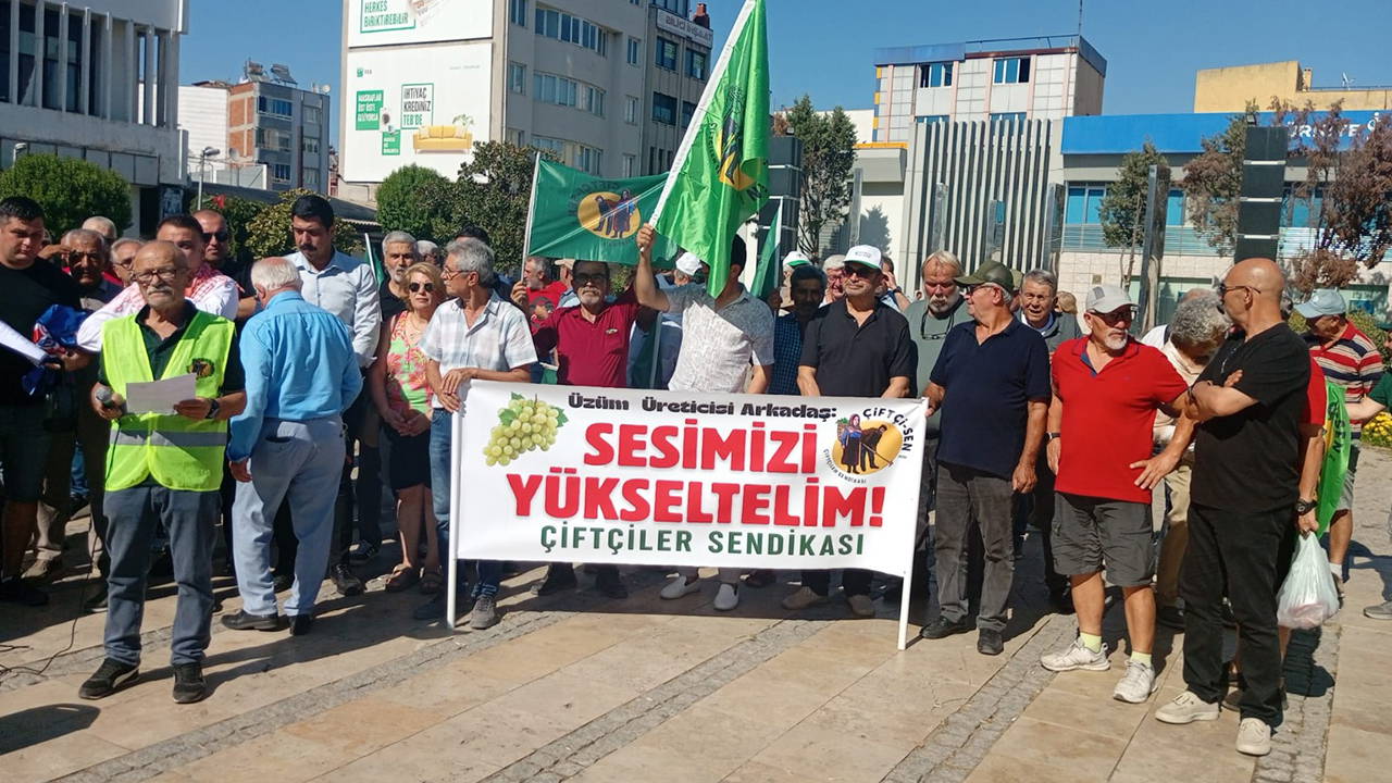 Üzüm Üreticisi TARİŞ Avans Fiyatına Tepki Gösterdi