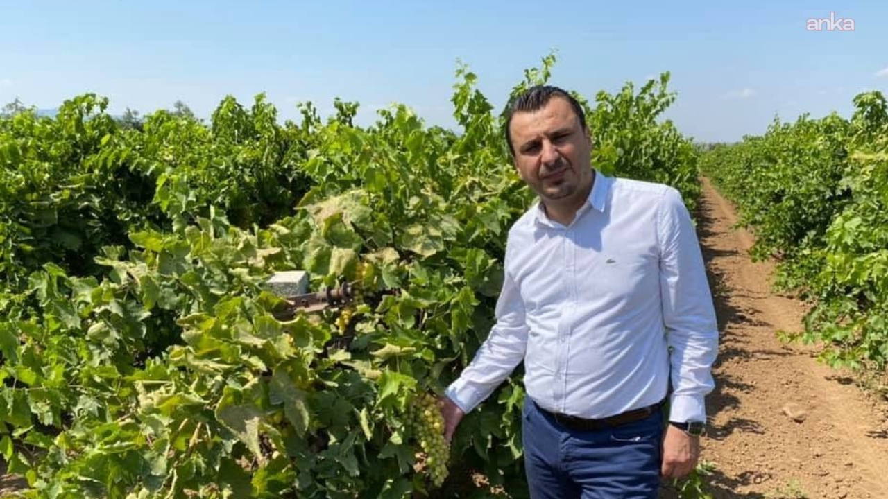 Üzüm üreticisine 150 TL taban fiyat çağrısı