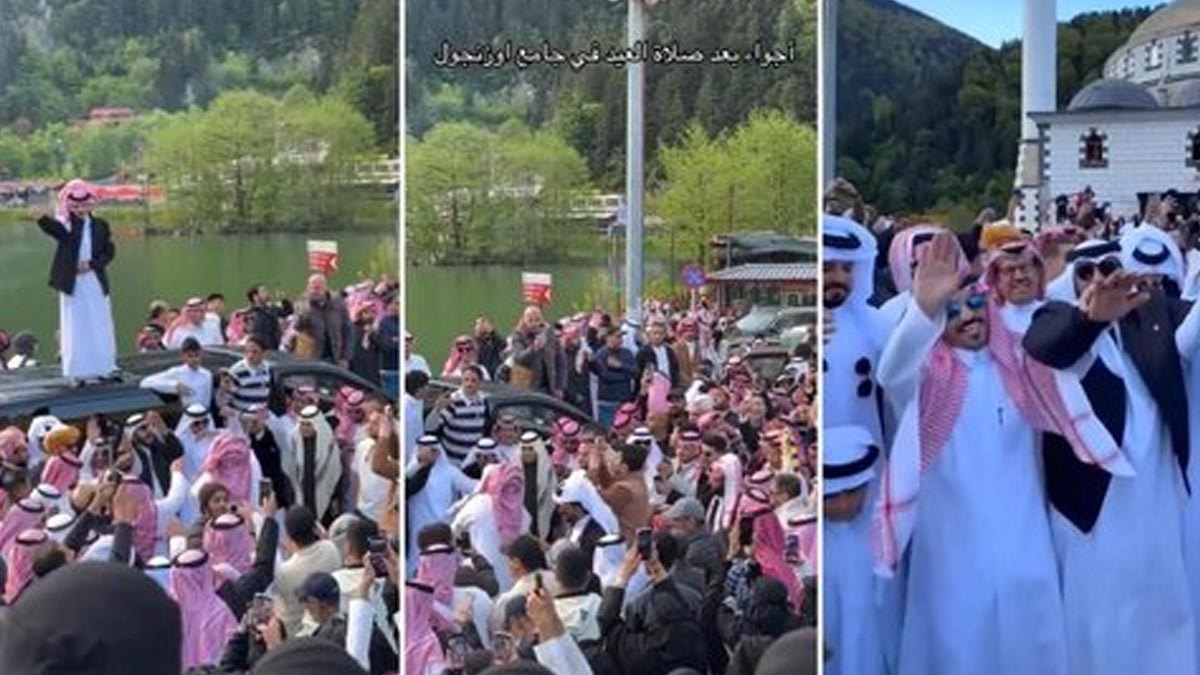 Uzungöl’de başıboş köpekler turistleri korkuttu: Sosyal medyada tartışma