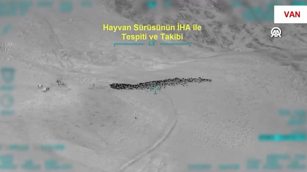Van'da çobanları tehdit edip 800 hayvanı gasp eden 4 kişi tutuklandı