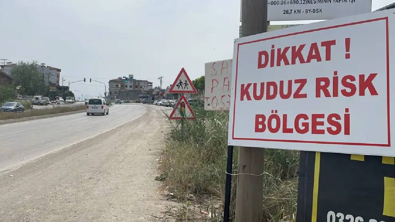 Van Edremit'te kuduz alarmı: 7 mahalle karantinaya alındı
