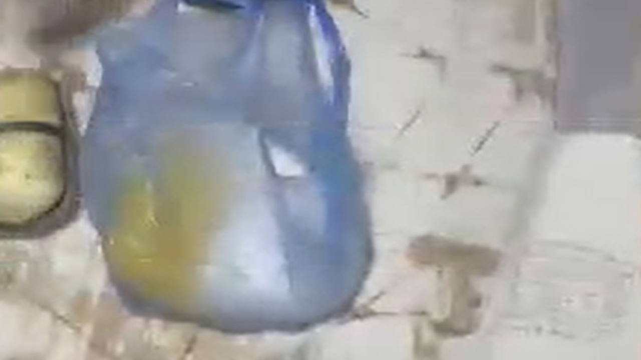 Van'da Hava Destekli Narko Operasyonu: 10 Kilo Metamfetamin Ele Geçirildi