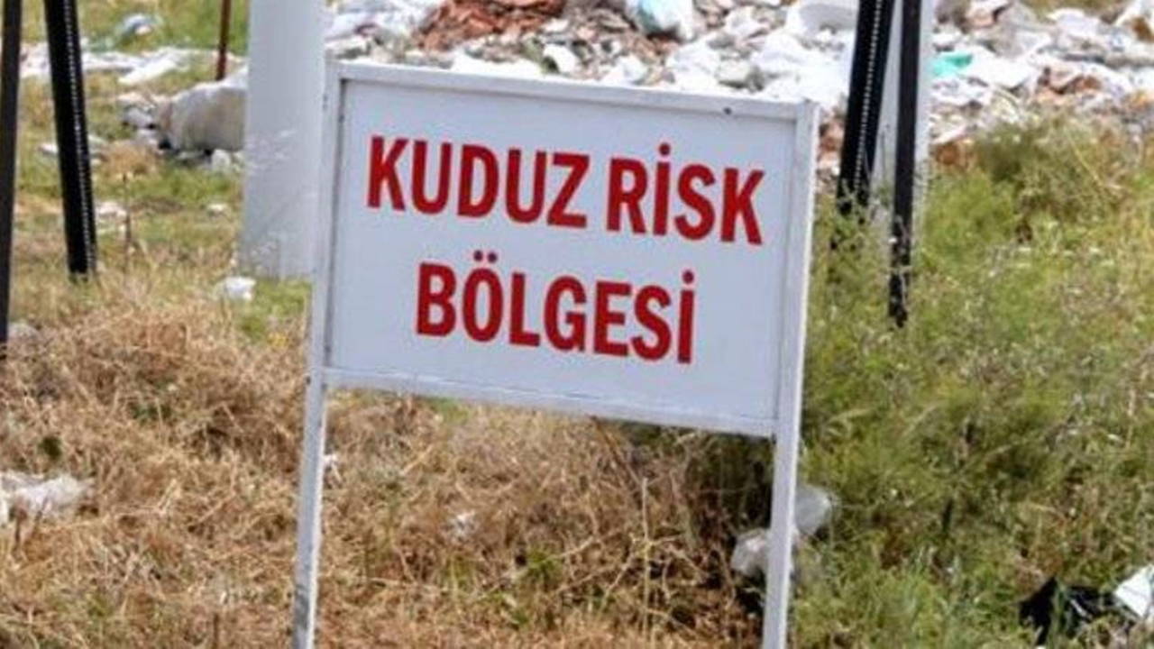 Van'da Kuduz Vakası: Edremit İlçesi Karantinaya Alındı