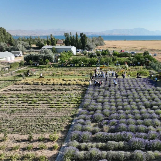 Van'da Tıbbi Bitkiler Hasat Bayramı Coşkuyla Kutlandı