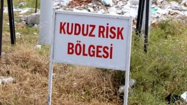 Van'da çoban köpeğinde kuduz tespiti: Mahalle karantinada