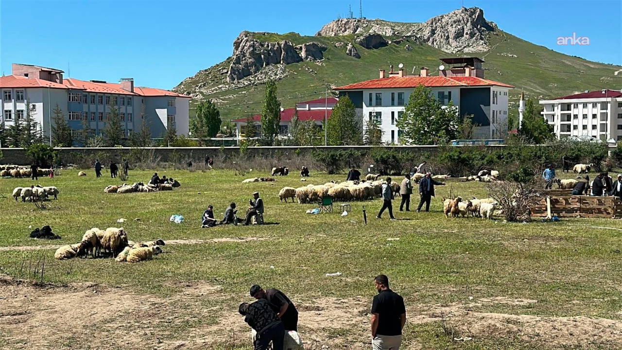 Van'da kurban pazarında besiciler enflasyon karşısında eridi