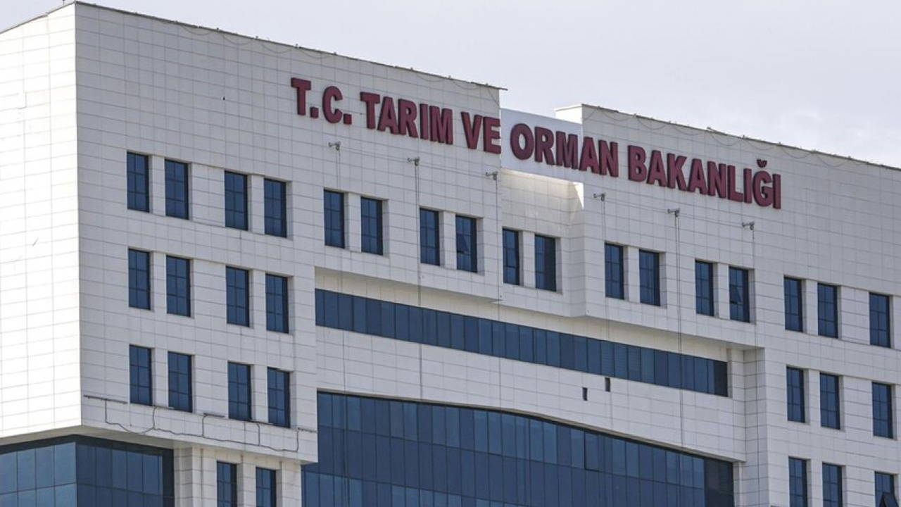 Veteriner hekimlerden Bakanlığa 'kan alma ücreti' çağrısı