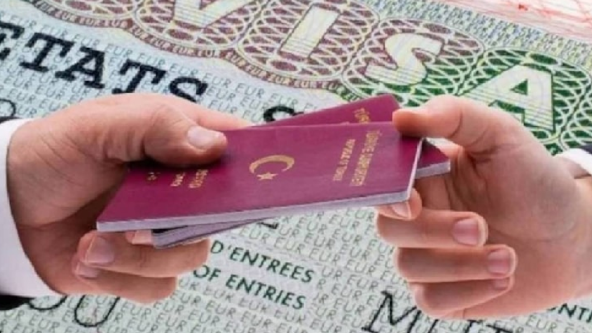 Vize Krizi: Danışmanlık Hizmetlerinde Yüzde 291 Patlama