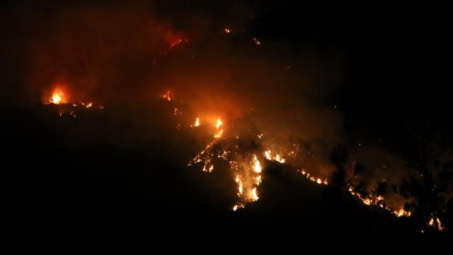 WMO: Orman Yangınları ve Sıcaklar Hava Kalitesini Tehdit Ediyor