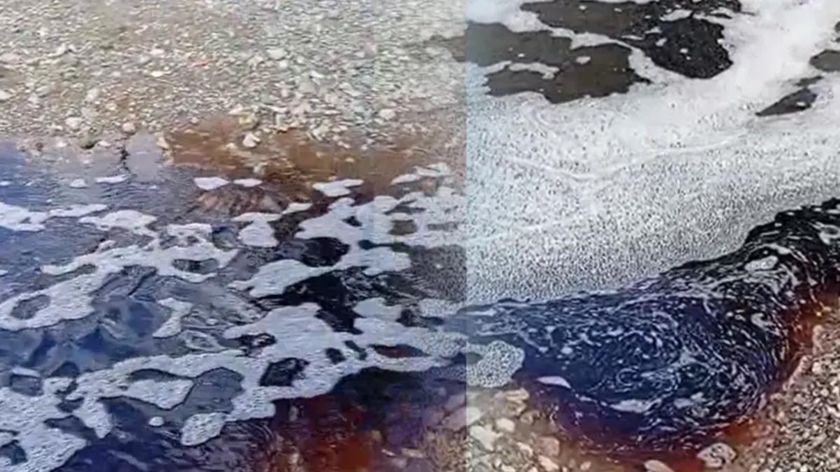 Yalova'da deniz yüzeyi kırmızıya boyandı