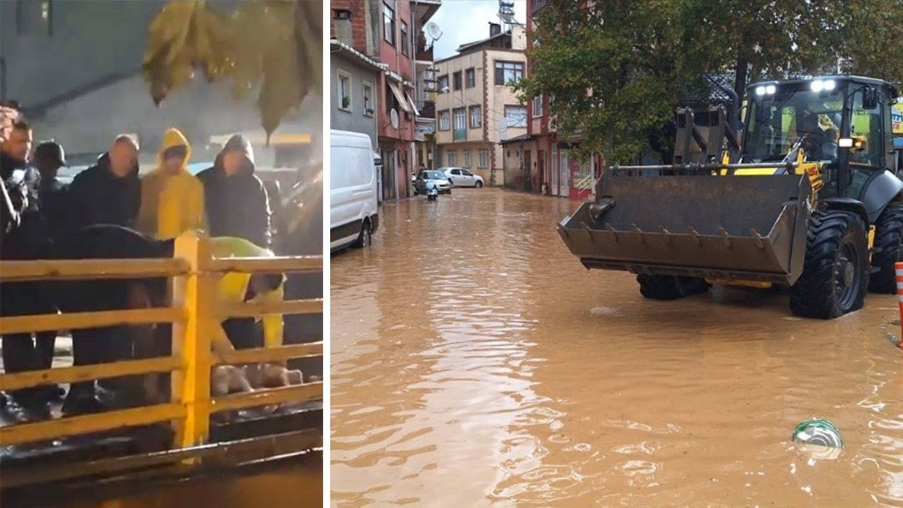 Yalova'da Sağanak Sonrası Kurban Kesme Olayı
