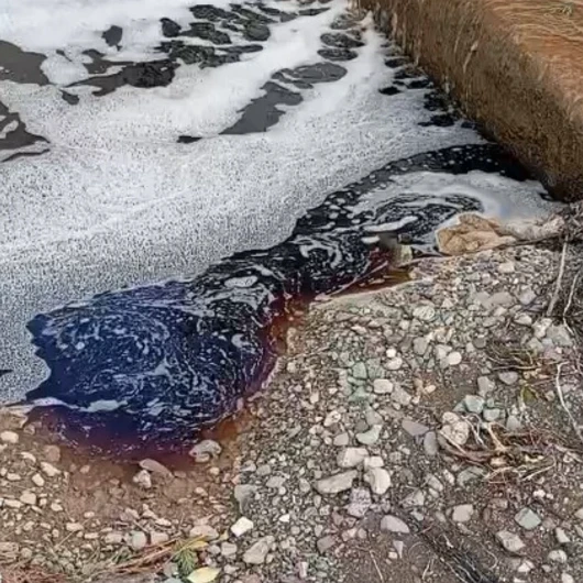 Yalova'da Deniz Kırmızıya Döndü: Taşköprü'de Korkutan Görüntü