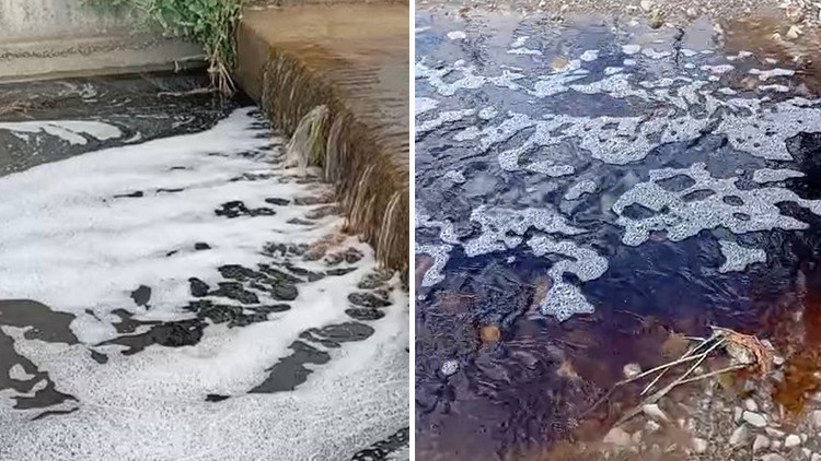 Yalova Taşköprü'de deniz yüzeyindeki kırmızılık inceleniyor
