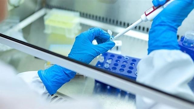 Yapay zeka ile dış gebelik tespiti: Türk araştırmacılardan IEEE yayını