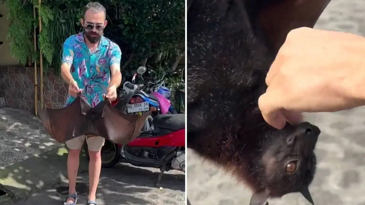 Yarasa Isırığı Korkuttu: Türk YouTuber'da COVID-19 Endişesi