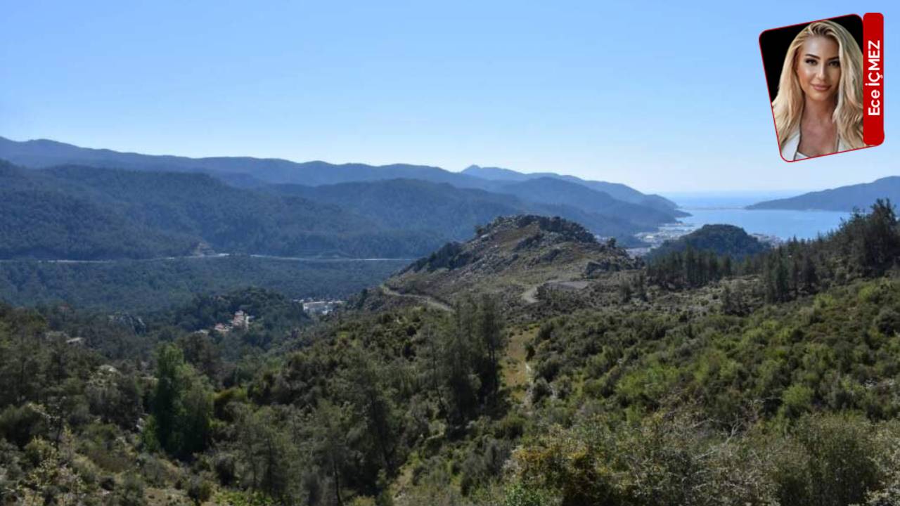 Yatağan'ın ormanları mermer ocağına kurban: Ranta onay