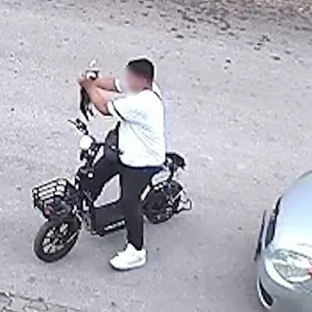 Yavru Kediyi Öptü Sonra Boğdu: O Anlar Kamerada