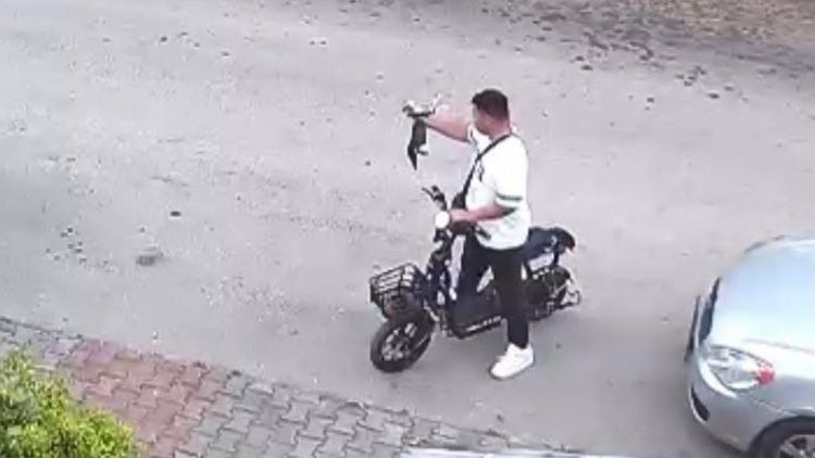 Yavru Kediyi Öpüp Boğan Şüpheli Gözaltına Alındı