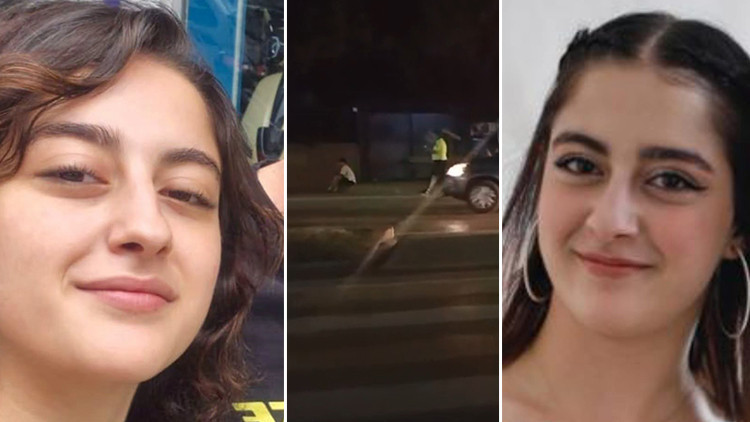 Yaya Geçidinde Otomobilin Çarptığı Begüm Fil, Hayatını Kaybetti
