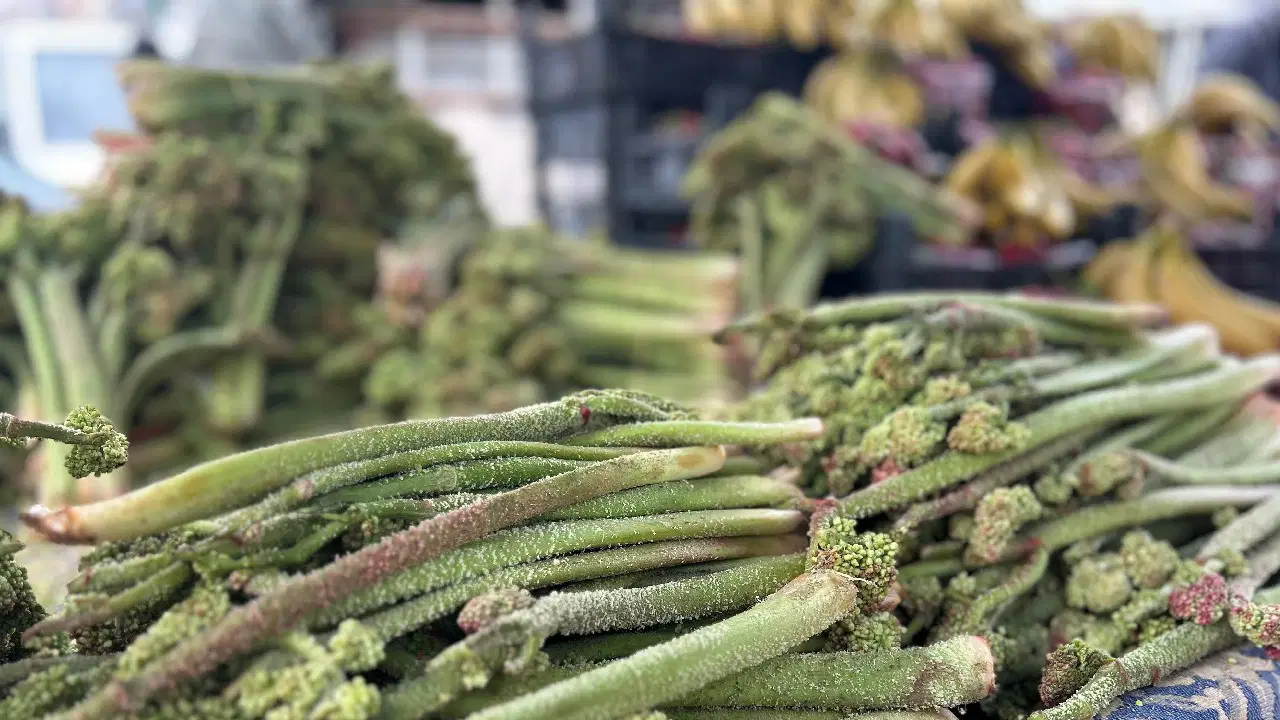 Yaylada kendiliğinden yetişen uçkun: C vitamini deposu tezgahlarda