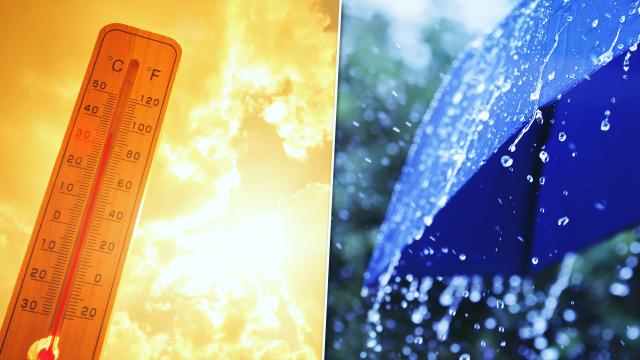 Yeni Haftada Hava Durumu: Kuzey Kesimlerde Yağış Sürecek