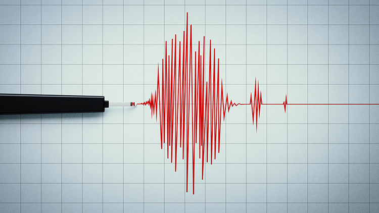 Yeni Zelanda'da 5.9 Büyüklüğündeki Depremin Ardından Tsunami Uyarısı Verildi