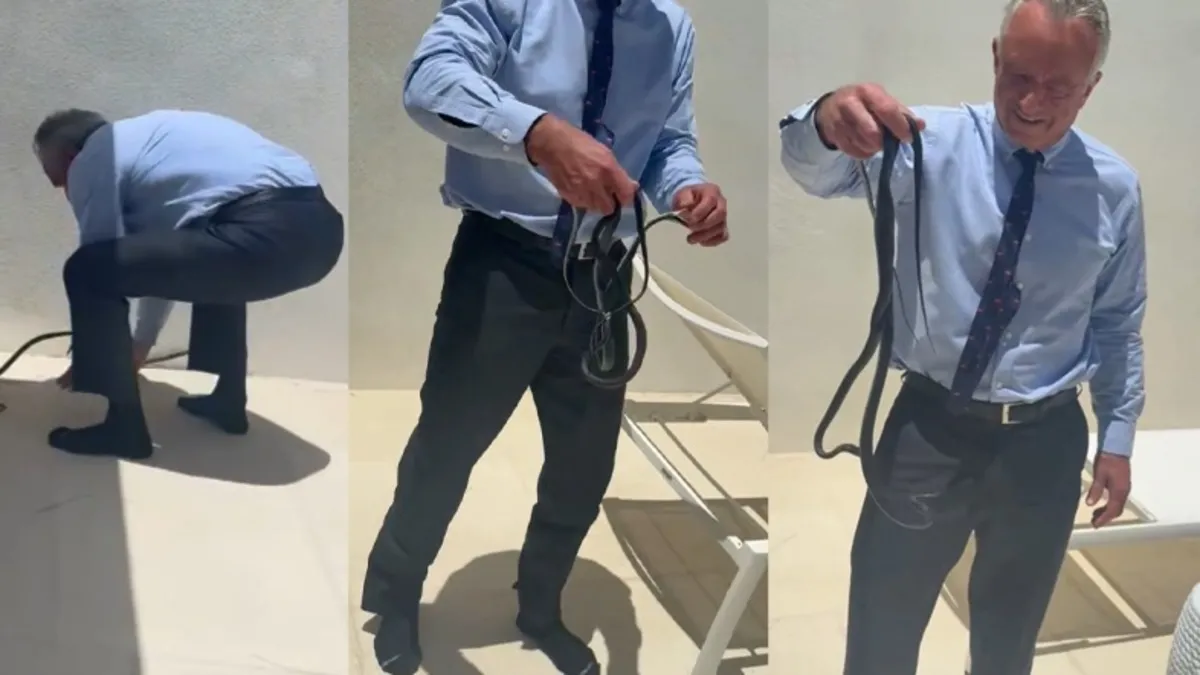 Yılan avcısı Kennedy Jr. çıplak elle yılan yakaladı o anlar viral oldu
