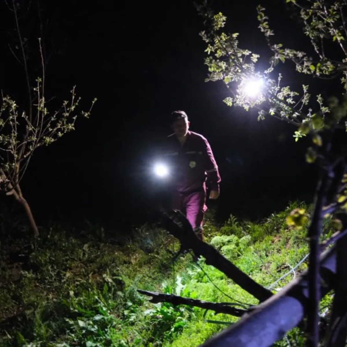 Yozgat'ta 3 yaşındaki Aybüke kayboldu! Ekipler seferber oldu