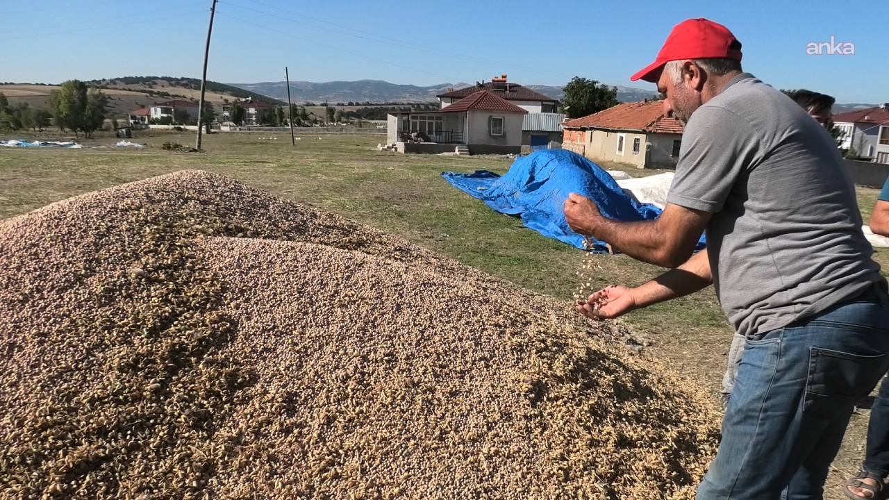 Yozgat'ta Dolu Mağduru Çiftçilere TARSİM'den 'Bir Daha Ekmeyin' Uyarısı