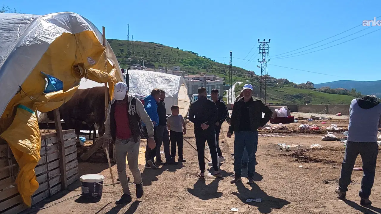Yozgat'ta kurban pazarı isyanı: Hayvan pazarı mı rezillik mi