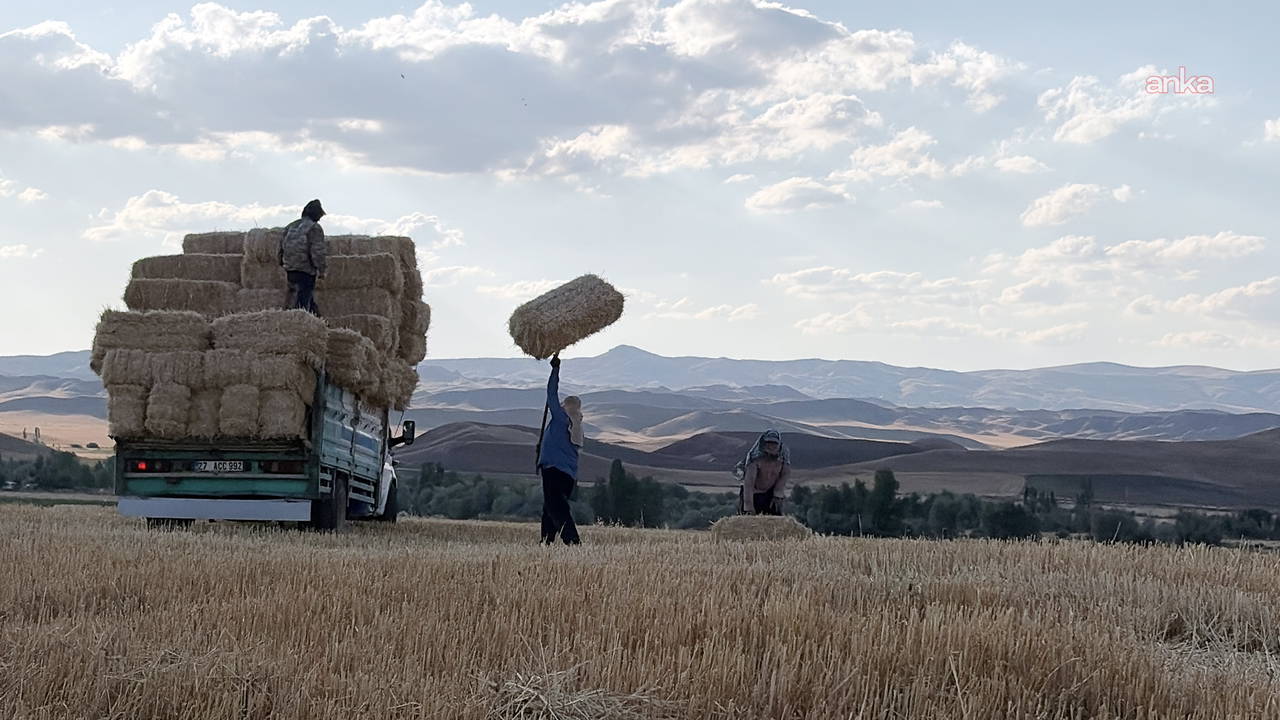 Yozgat'ta Saman Fiyatları Verimli Hasat Sonrası Düşüşe Geçti