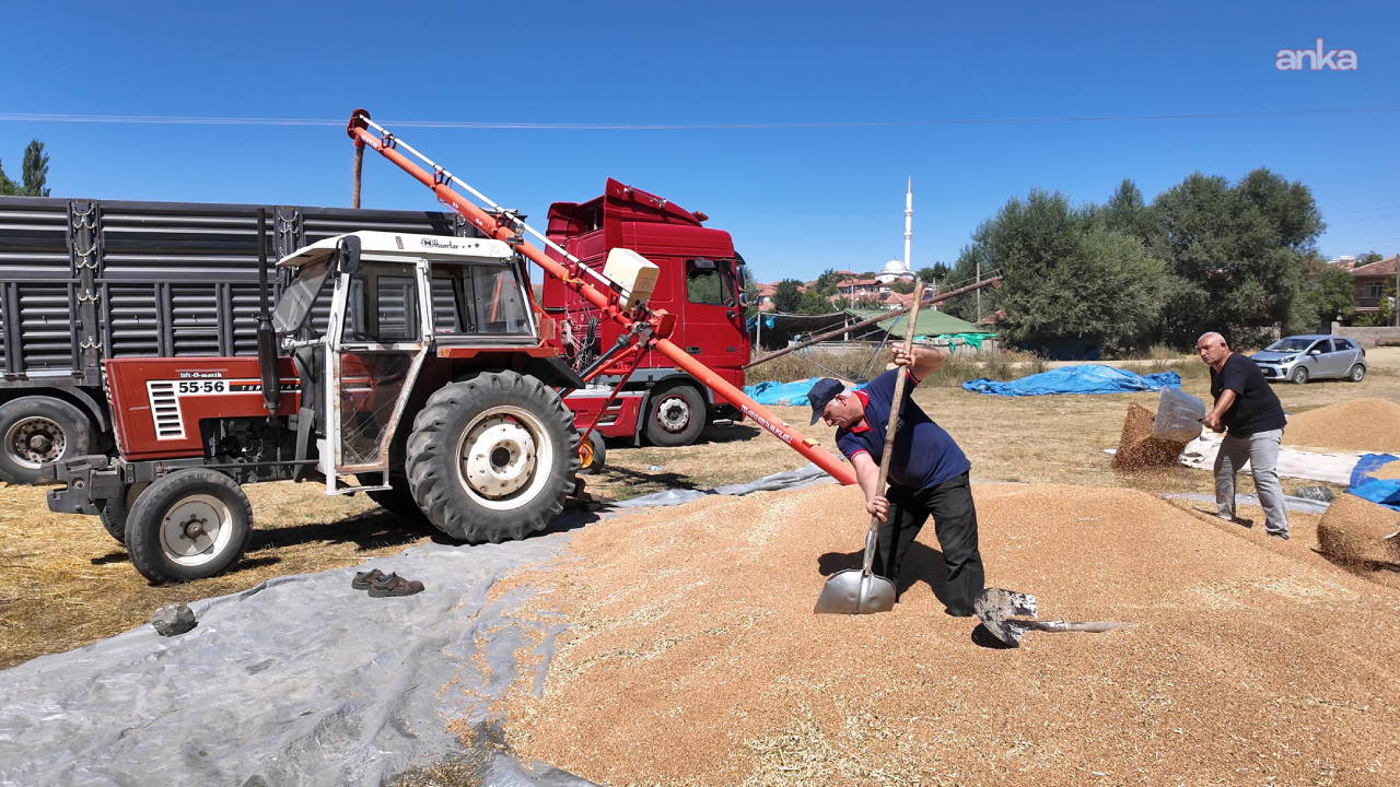 Yozgatlı çiftçiden fiyat isyanı: 'Buğday 20 liranın üzerinde olmalı