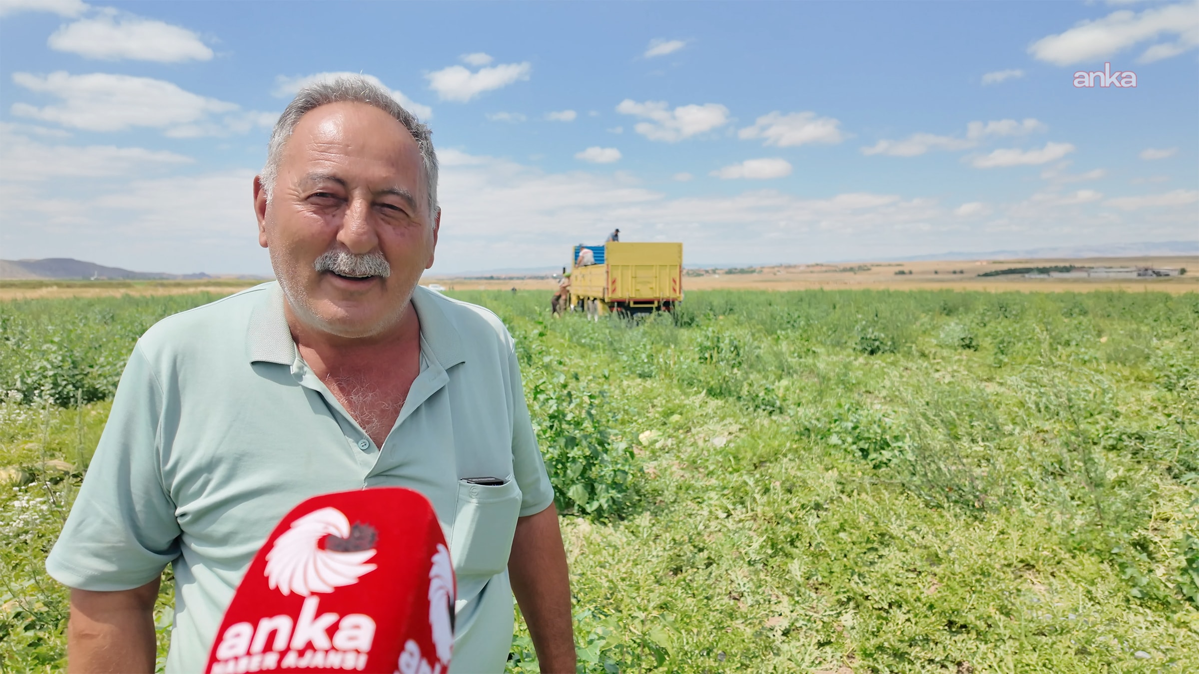 Yozgat'ta Karpuz Üreticileri Fiyat Kriziyle Karşı Karşıya