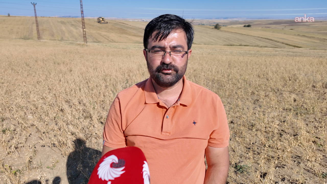 Yozgat'ta Nohut Hasadında Çiftçinin Yüzü Gülmüyor: 'Tohum Fiyatının Yarısına Bile Alıcı Bulamıyoruz