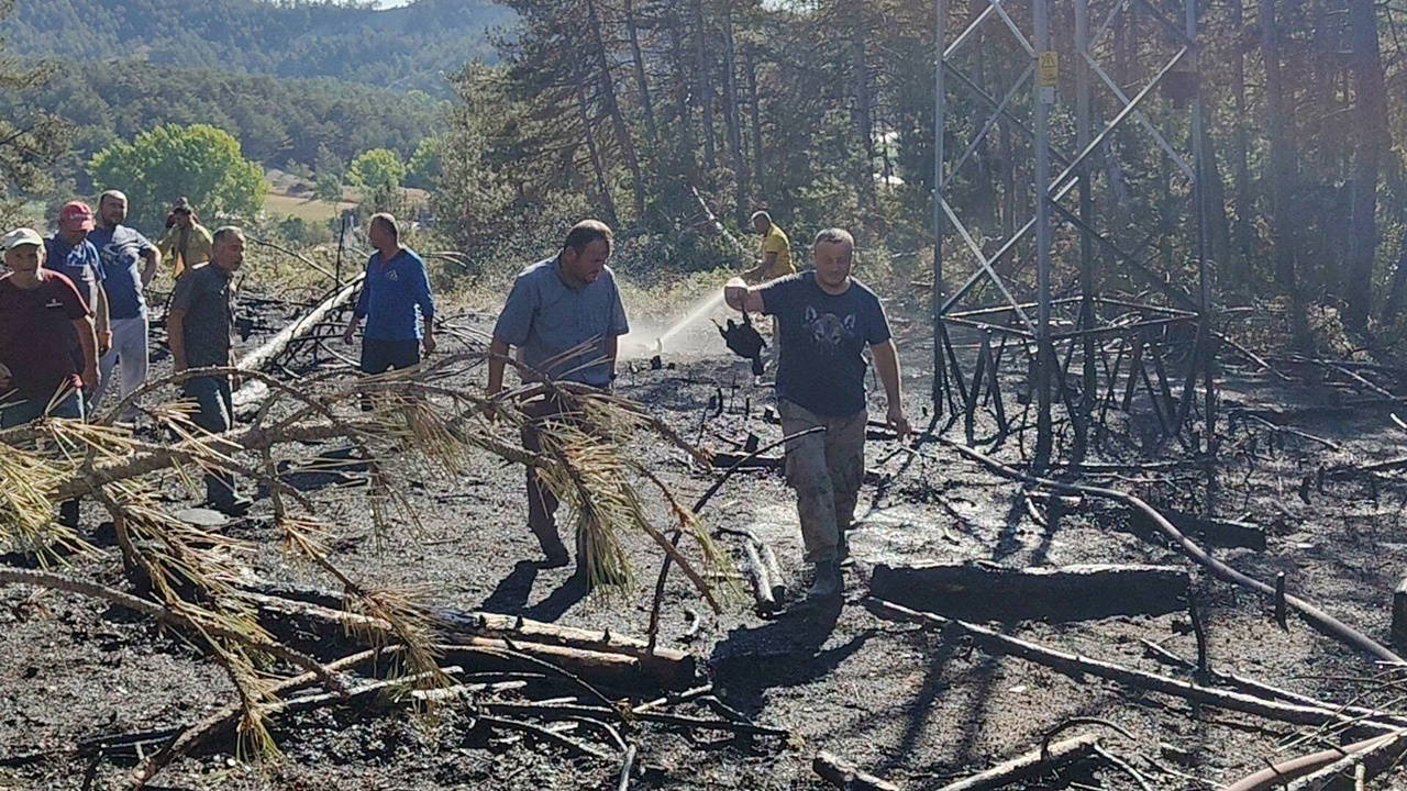 Yüksek Gerilim Hattında Akıma Kapılan Kuş Orman Yangınına Neden Oldu