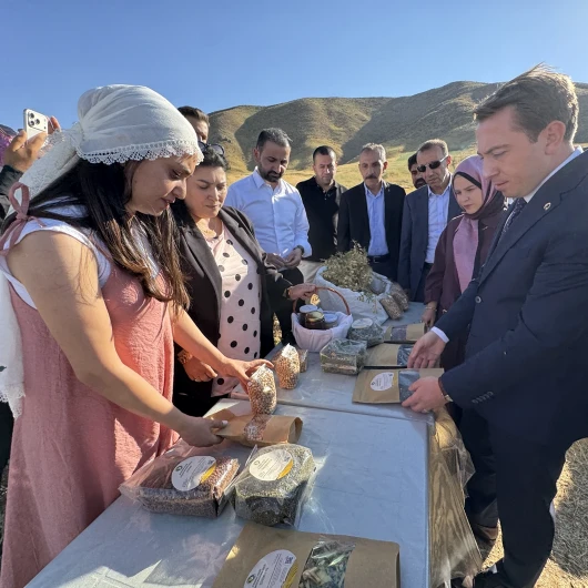 Yüksekova'da Kadın Kooperatifi Nohut Hasadına Başladı