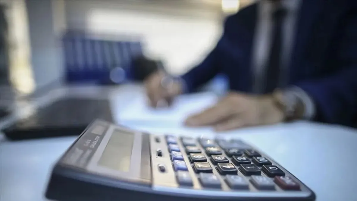 Yurtdışı Gelirler Mercek Altında: Yeni Gözetim Programı Başlıyor