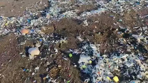Zafer Partili Aslan: Plastik Atık İthalatı Durdurulsun, Tesisler Denetlensin