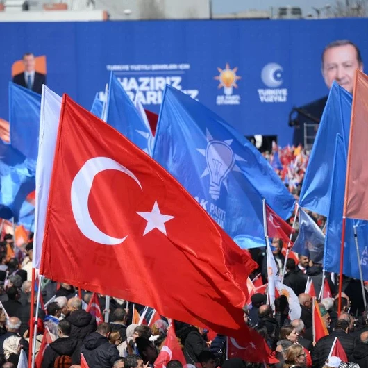 Zekâya Hakaret İsyanda: Abidin'in Fırçası Konuştu