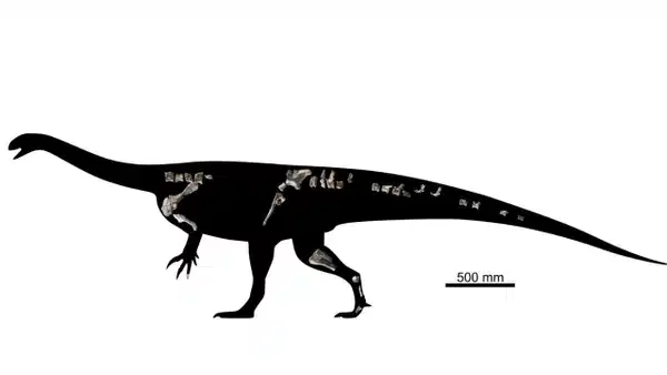 Zimbabve'de 210 Milyon Yıllık Yeni Dinozor Türü Keşfedildi