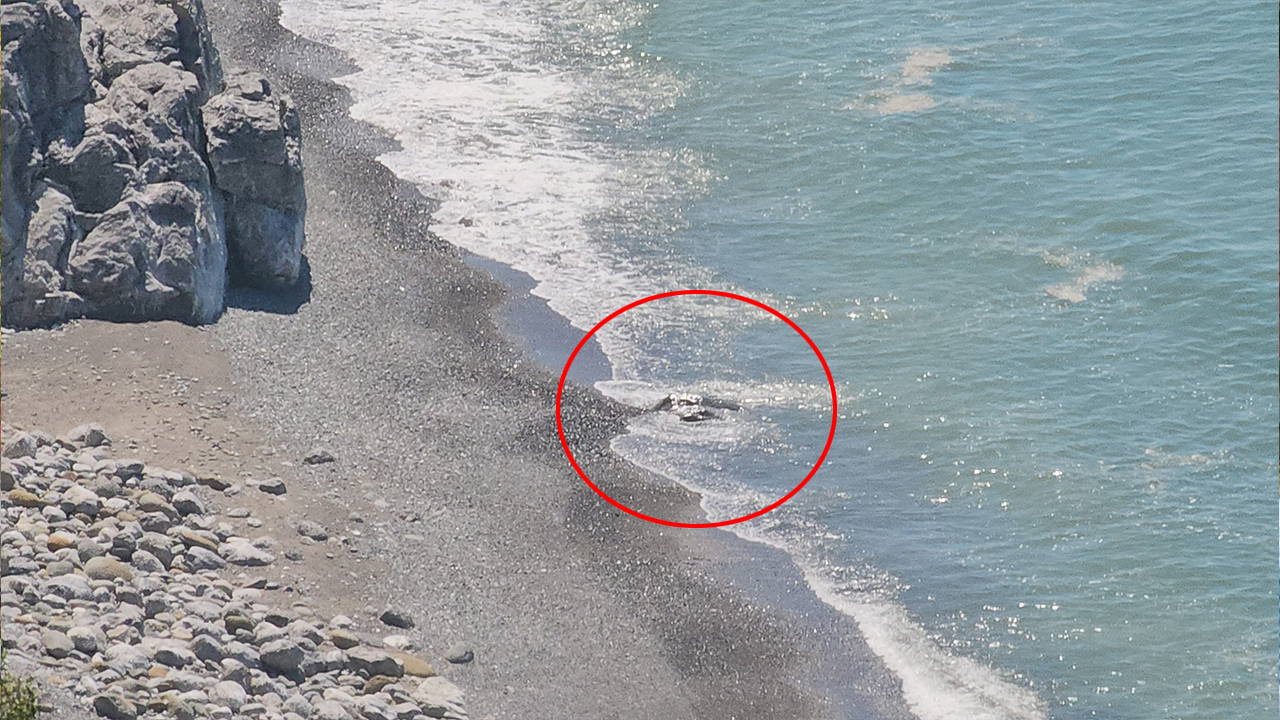 Zonguldak'ta Ceset İhbarı Panik Yarattı: Kaya Parçası Çıktı