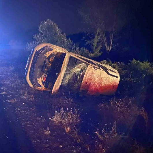 Zonguldak'ta İnek Kaza Zincirine Yol Açtı: 3 Araç Perte Çıktı